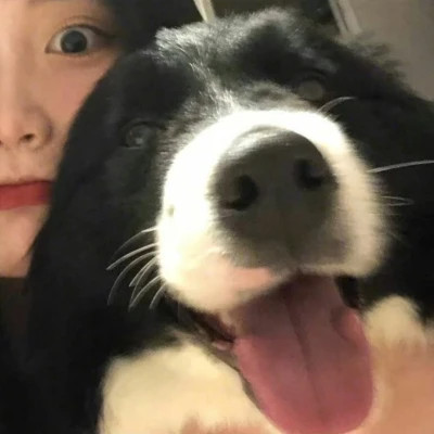 女孩和狗情头一左一右