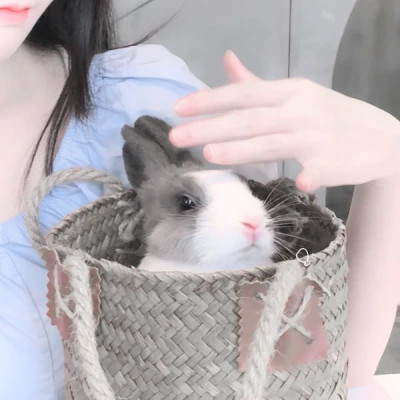 情侣头像宠物和主人