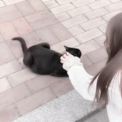 情侣头像宠物和主人