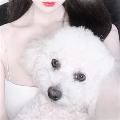 情侣头像宠物和主人