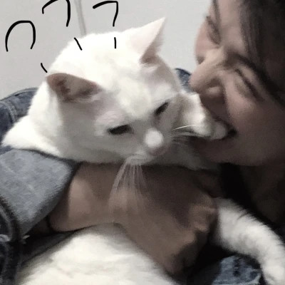 情侣头像宠物和主人
