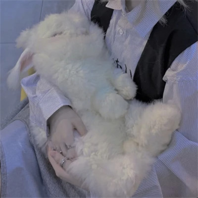 一人一动物的可爱情头