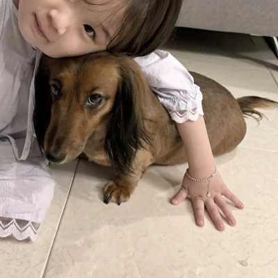 情头一半人一半宠物