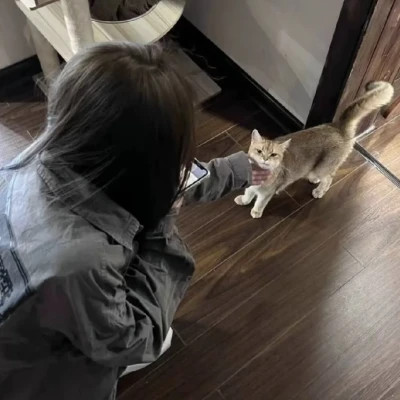 头像女2025新款图片简单个性