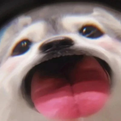 小动物情头