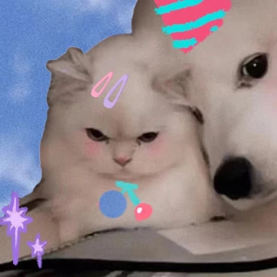 小动物情头