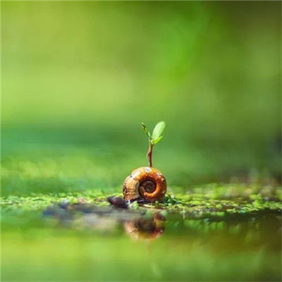 2025微信头像男生成熟沉稳