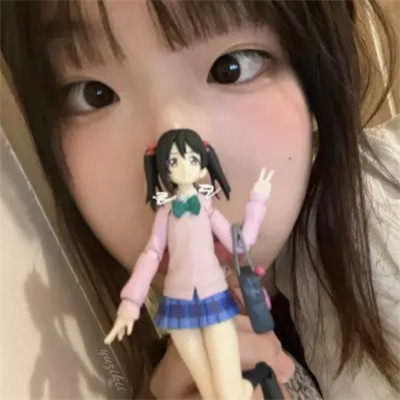 混网专用女头