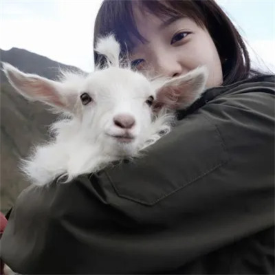 男生专用女头