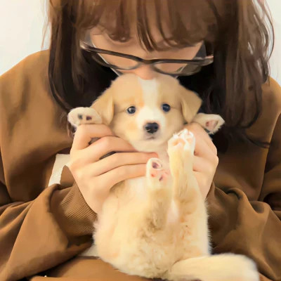 2025一男一女专用情侣头像