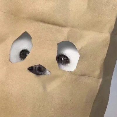 萌萌哒小动物头像