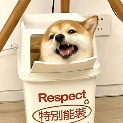 萌萌哒小动物头像