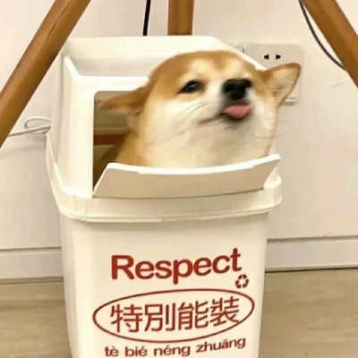 萌萌哒小动物头像