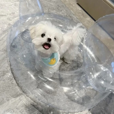 萌萌哒小动物头像