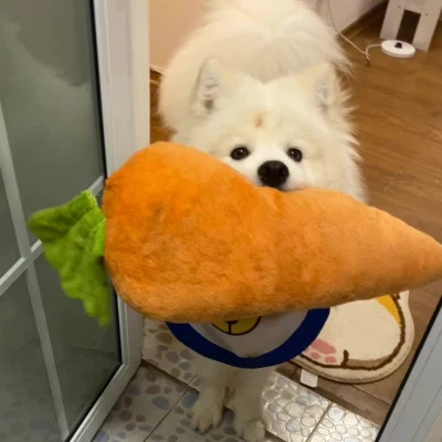 萌萌哒小动物头像