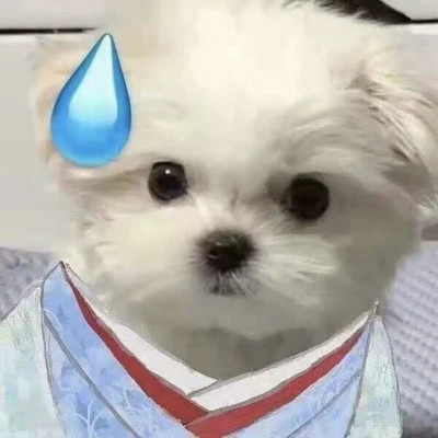 超可爱的小动物头像