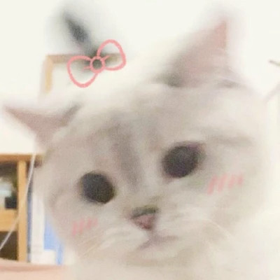 头像小动物可爱萌好看