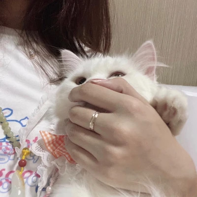 头像小动物可爱萌好看