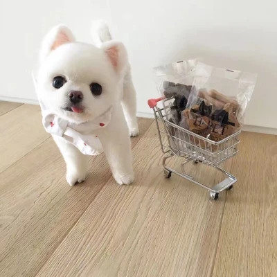 萌宠头像图片高清