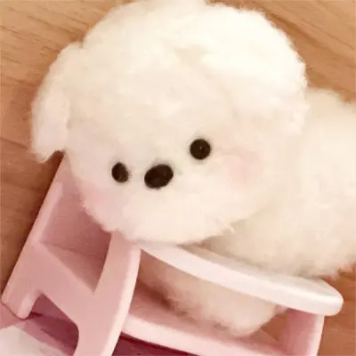 ins超火玩偶头像图片