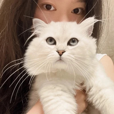 2025专属头像图片女生