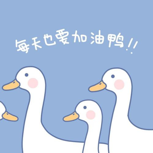 2025微信励志头像图片
