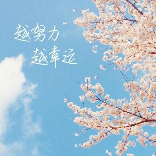 2025微信励志头像图片