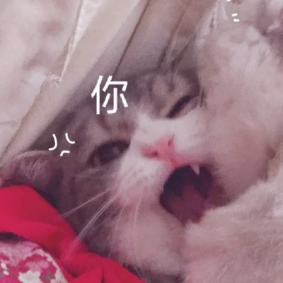 2025最甜情侣头像真人图片