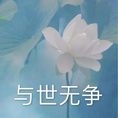 2025荷花微信头像