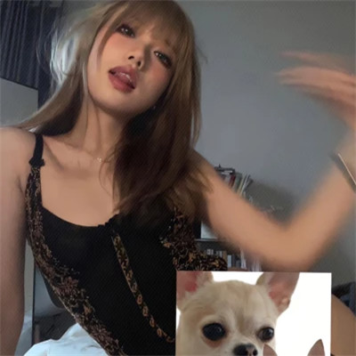 优质精选的高清女生头像