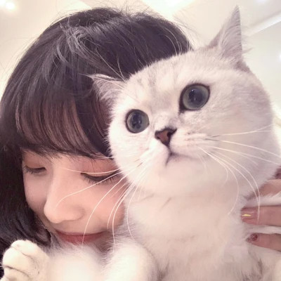 真人可爱妹子专用头像