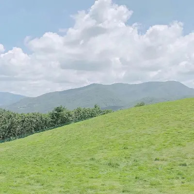 头像女加背景图片