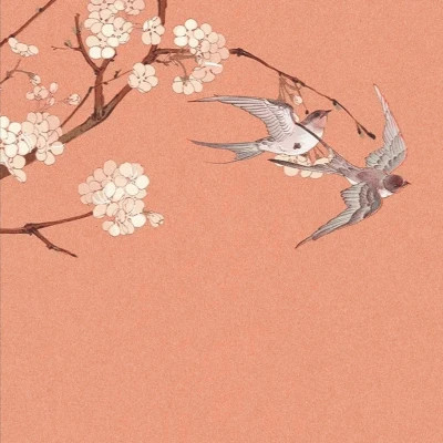 女生头像+背景图(全套图)