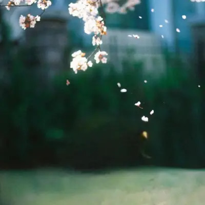 女生头像+背景图(全套图)