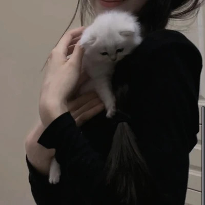 超耐看的不露脸女生头像