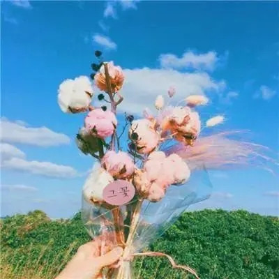 让运气越来越好的头像