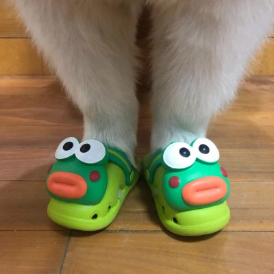 狗狗的脚穿鞋搞怪头像图片