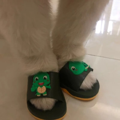 狗狗的脚穿鞋搞怪头像图片
