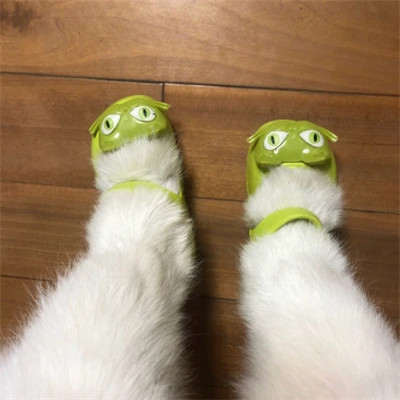 狗狗的脚穿鞋搞怪头像图片