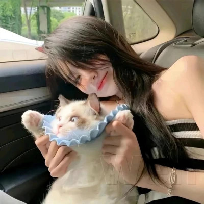 点赞超高的女生头像图片