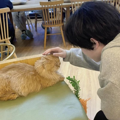 头像真人男生2025超酷帅气