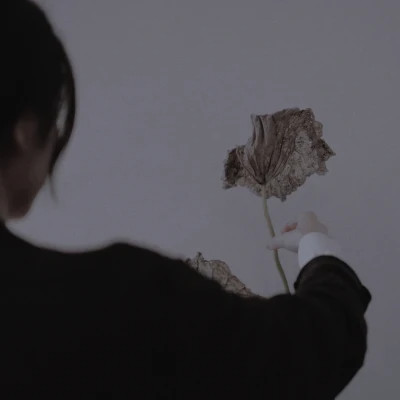 2025最好看的头像女生火爆图片