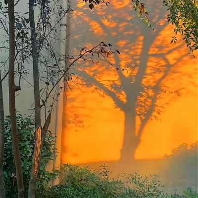 2026超好看的背景图片头像