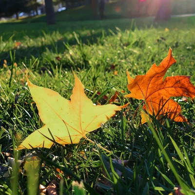 2026超好看的背景图片头像