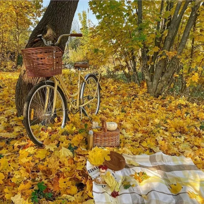 2026超好看的背景图片头像