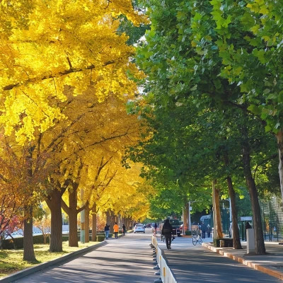 2026超好看的背景图片头像