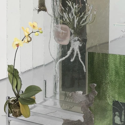 2026超好看的背景图片头像