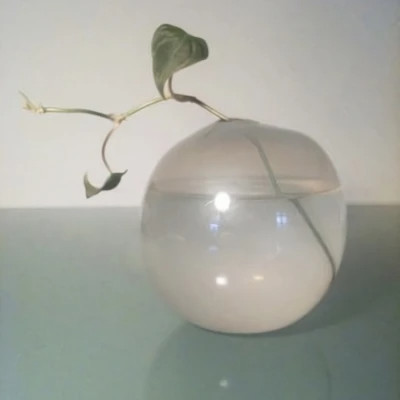 2026超好看的背景图片头像