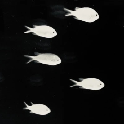 2026超好看的背景图片头像