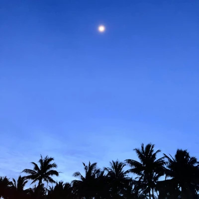 2026超好看的背景图片头像